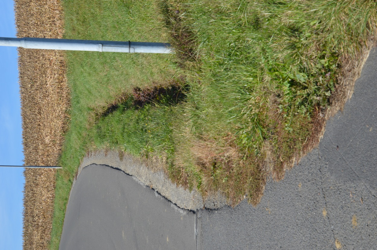 Wasserdurchsättigter Hang gefährdet den Bahndamm im Bereich Oedt. 